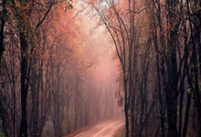 虎扑篮球体育：[乒乓球]山东魏桥、汕头明润、黄石基地华新取得乒超两连胜.