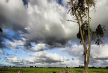 虎扑篮球体育：[德甲]第5轮：柏林联VS霍芬海姆.